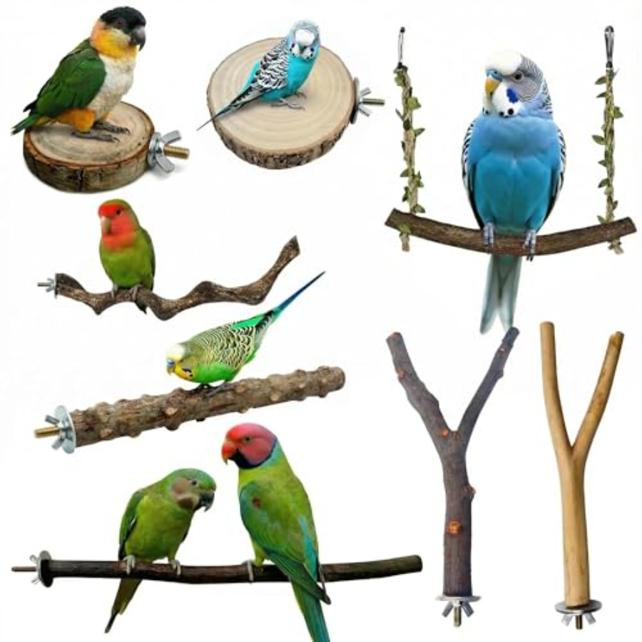 Health & Wellness Fair 2025 - 8PCS natural wood bird perches for