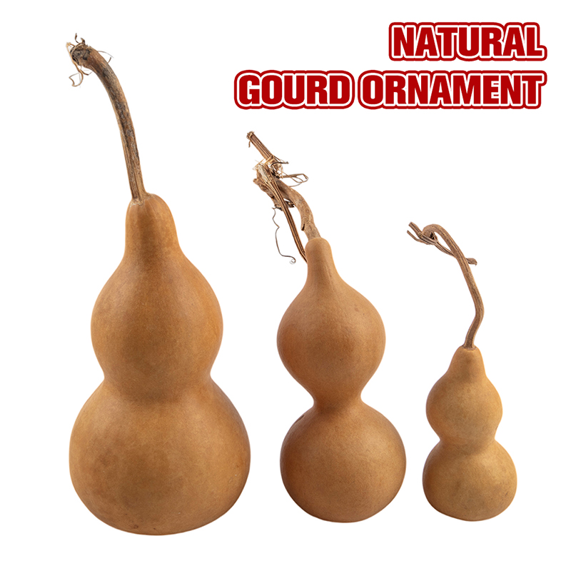 1pc Natural Gourd Handicraft O - Longevity Health & Wellness Hotel 评论和价格