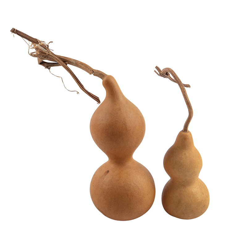 1pc Natural Gourd Handicraft O - Longevity Health & Wellness Hotel 评论和价格