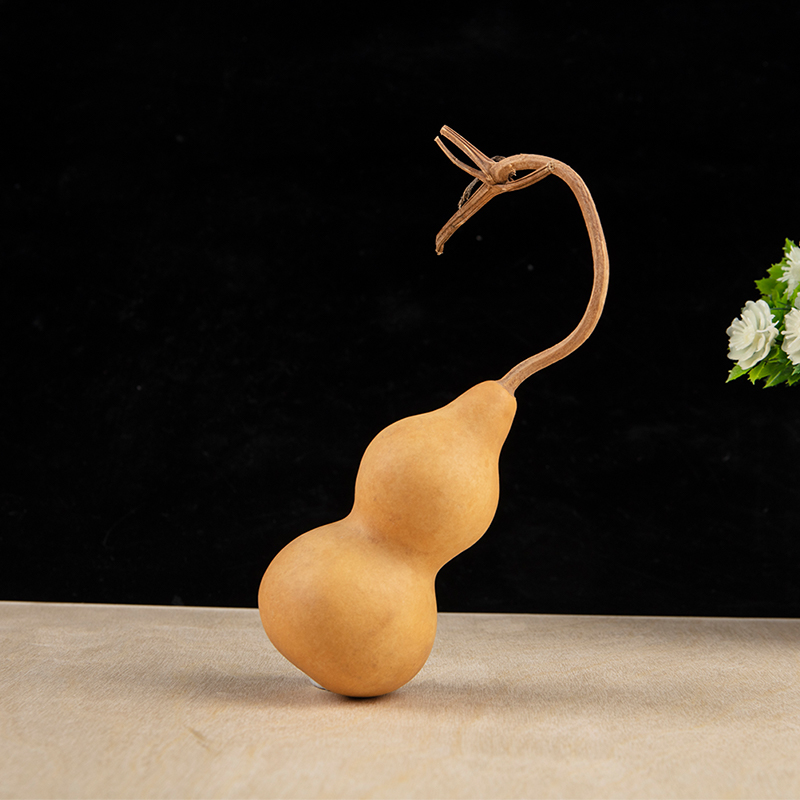 1pc Natural Gourd Handicraft O - Longevity Health & Wellness Hotel 评论和价格