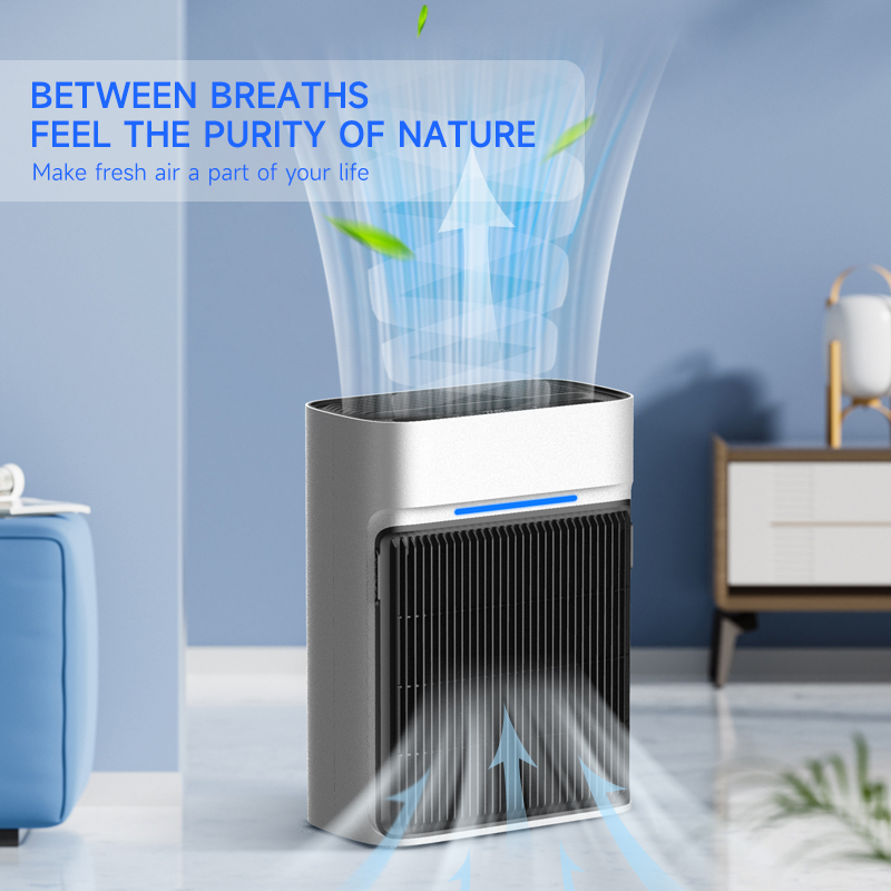 High Efficiency Triple-filter  - Air Purifier Hepa 评论和价格
