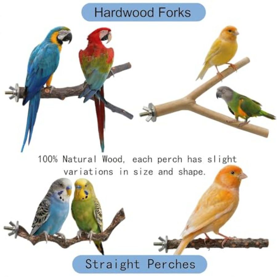 8PCS natural wood bird perches - Health & Wellness Fair 2025 评论和价格