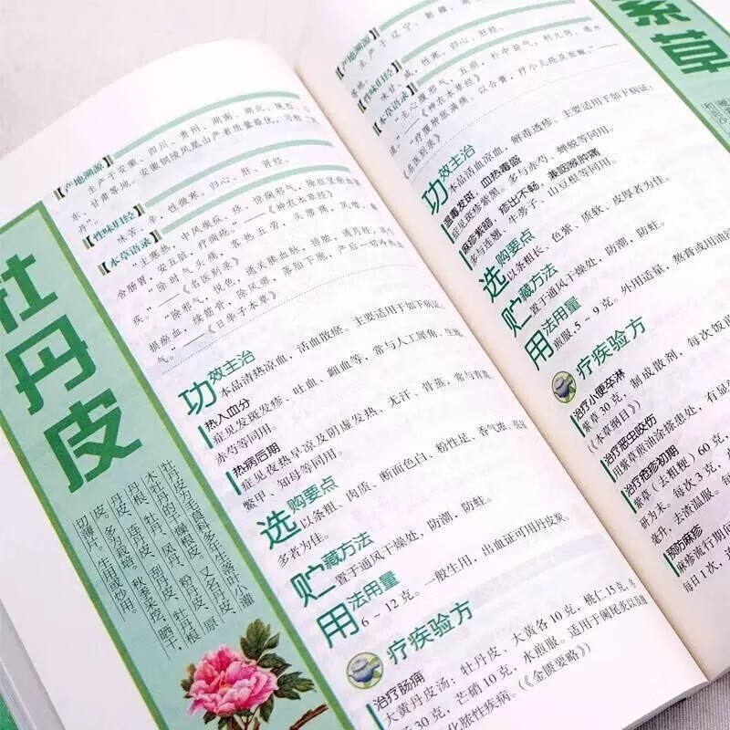 The Complete Guide To Family T - Wellness Health Nutrition 评论和价格