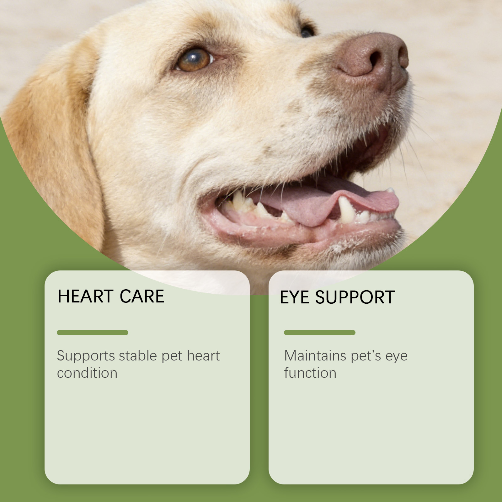 Dog Taurine Powder Easy-To-Mix - Wellness Health Nutrition 评论和价格