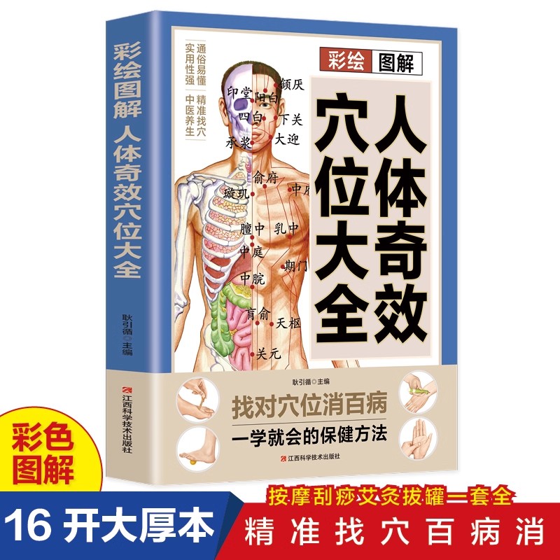 Acupoint Massage & TCM Health  - Health & Wellness Fair 2025 评论和价格