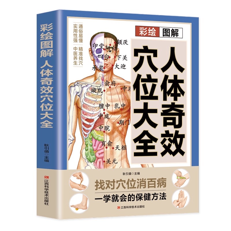 Acupoint Massage & TCM Health  - Health & Wellness Fair 2025 评论和价格