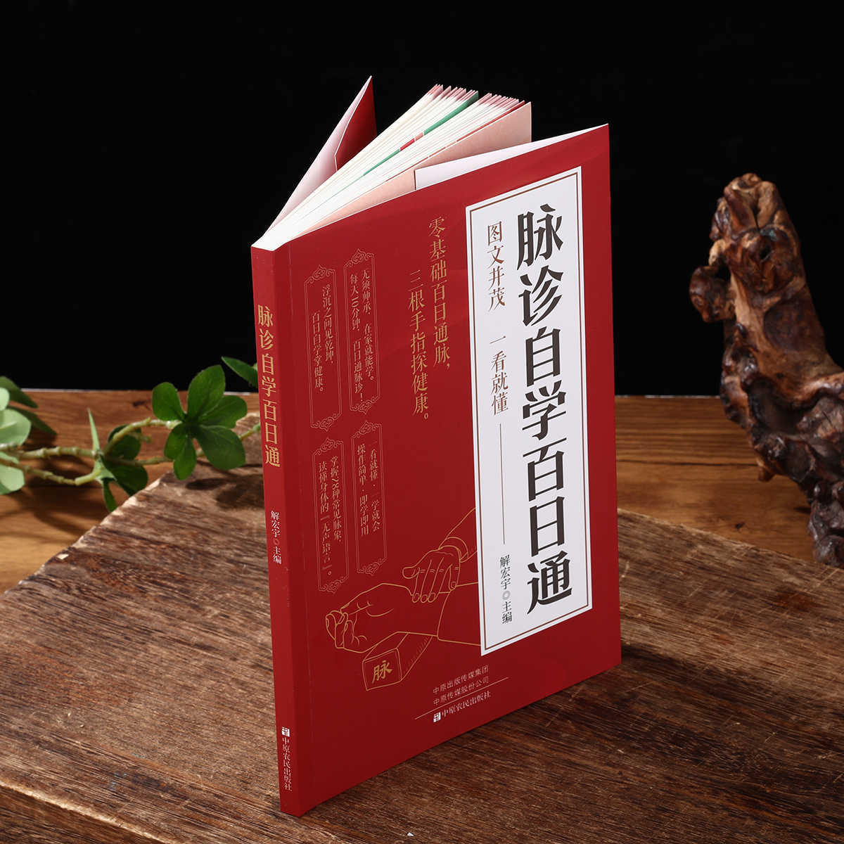 Pulse Diagnosis Self Study Hun - Health & Wellness Fair 2025 评论和价格